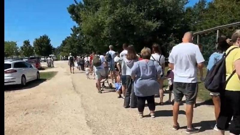 Készülj fel egy élményekkel teli napra a Veszprémi Állatkertben, ahol a látogatók száma már most is lenyűgöző! Ha most tervezed a látogatást, érdemes számításba venni a nagy tömeget – nézd meg a videónkat, hogy felkészülten érkezhess!