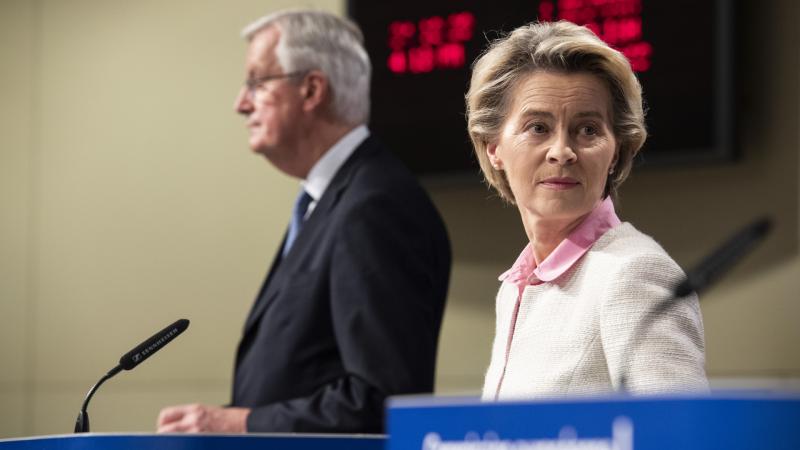 Hátba támadta Ursula Von der Leyen egykori bizalmasa.