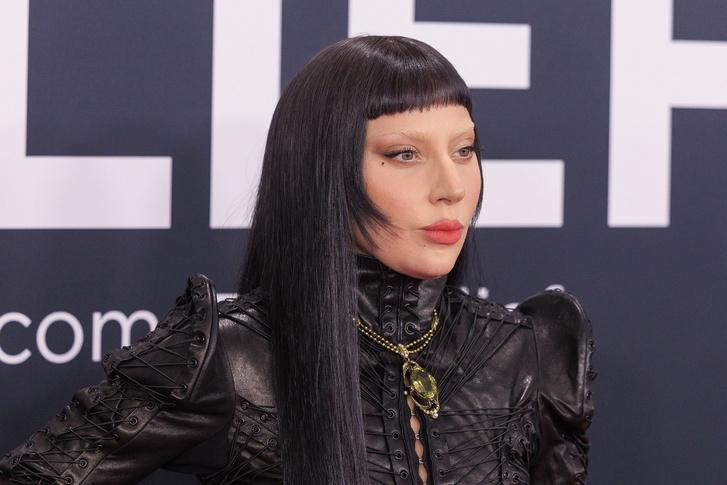 Lady Gaga ritkán látott vőlegényével tett egy különleges kiruccanást.