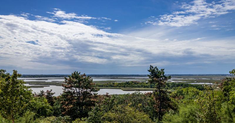 Nem csupán a Balaton környékén tapasztalhatók problémák: a Velencei-tóban is száraz lábbal sétálhatsz!