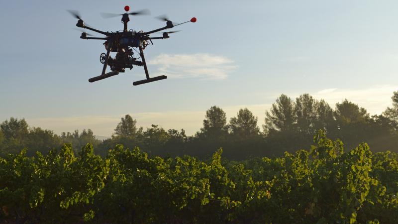 Fontos problémák merültek fel Magyarországon, és ennek következtében országos szintű kezdeményezés indult.