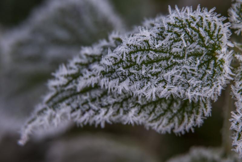 A hétfő hajnal még hideg leheletét hozza, de keddtől kezdve már érezhető lesz a felmelegedés.