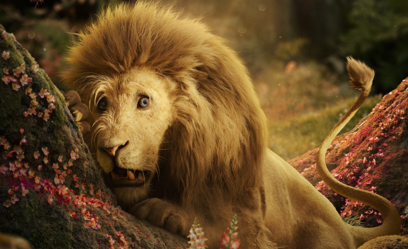 Ilyen még soha nem történt 2025-ben! Az év legnagyobb fantasy filmje már most megdöntötte a bevételi rekordokat, és te is megtekintheted itthon! - Mafab.hu