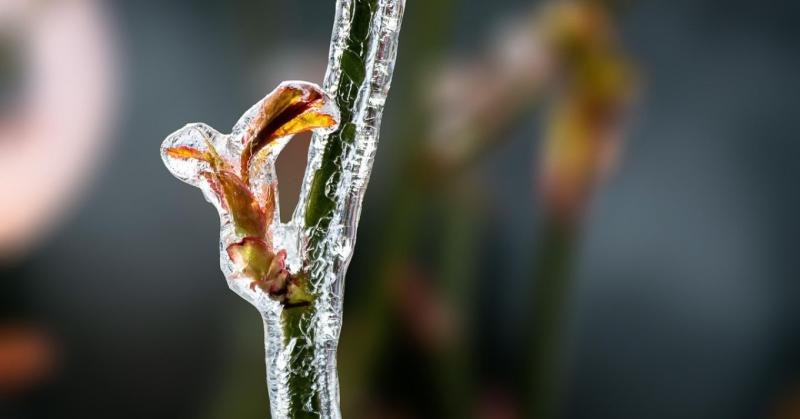 Közeleg a határidő! Ne feledd, hogy a kérelem benyújtásának utolsó napja december 1. Ne halaszd az utolsó pillanatra!